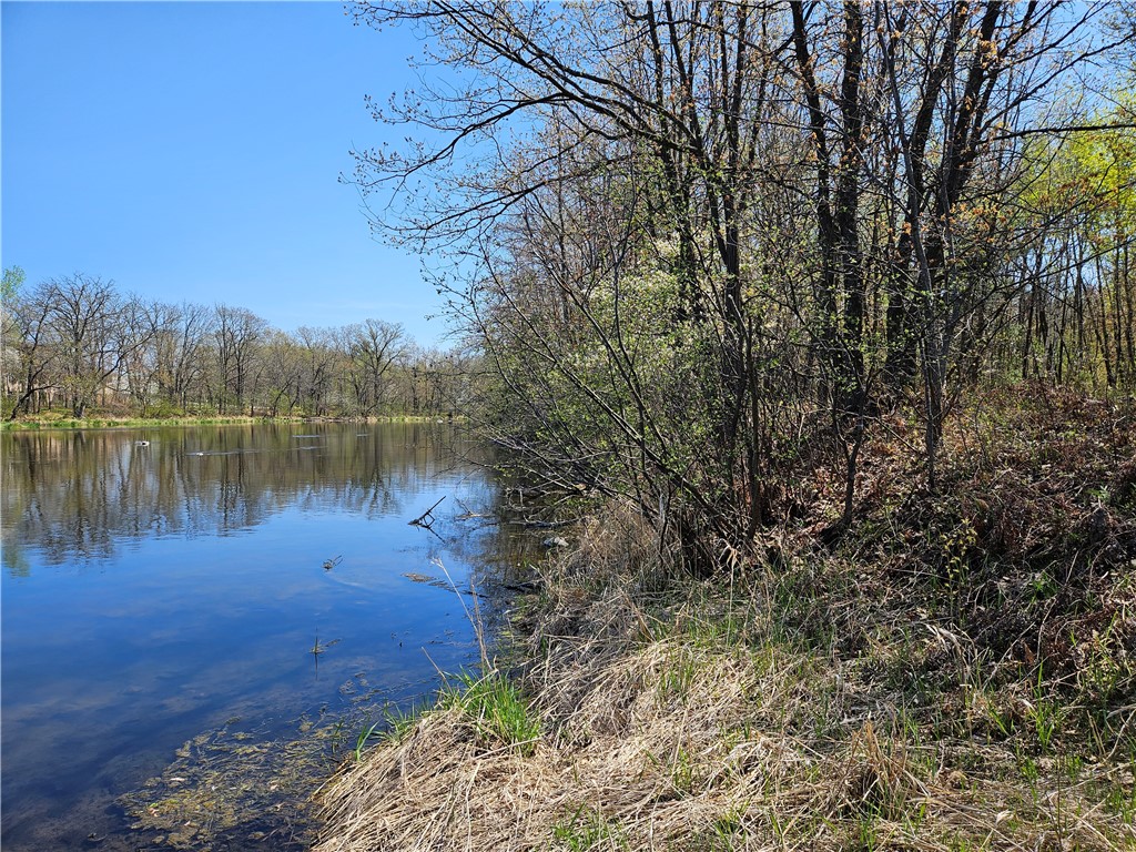 Undisclosed Address Rice Lake, WI 54868 - Photo 6 of 29