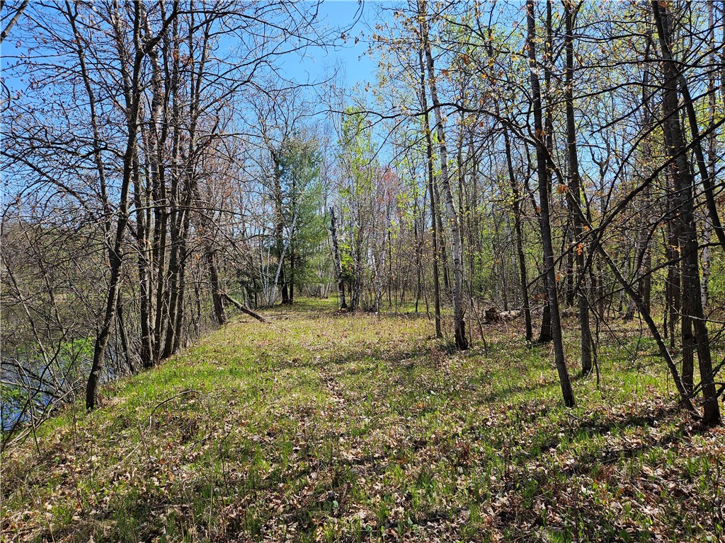Undisclosed Address Rice Lake, WI 54868 - Photo 8 of 29