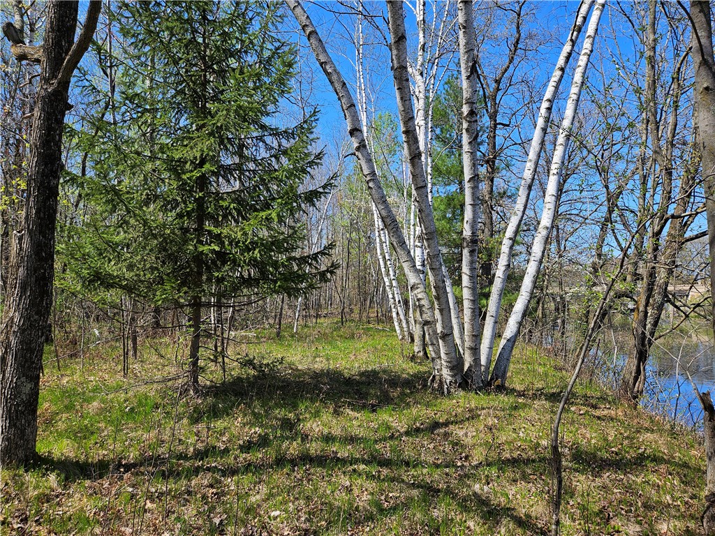 Undisclosed Address Rice Lake, WI 54868 - Photo 10 of 29