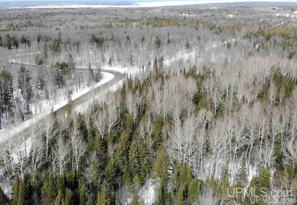Tbd Dogpatch Road, Unit LOT A Lanse, MI 49946 - Photo 4 of 18