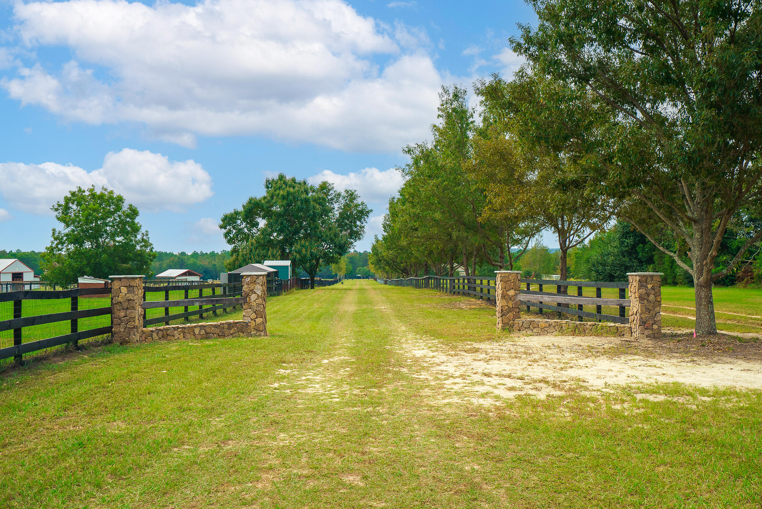 0 Wagener Road Aiken, SC 29805 - Photo 38 of 39