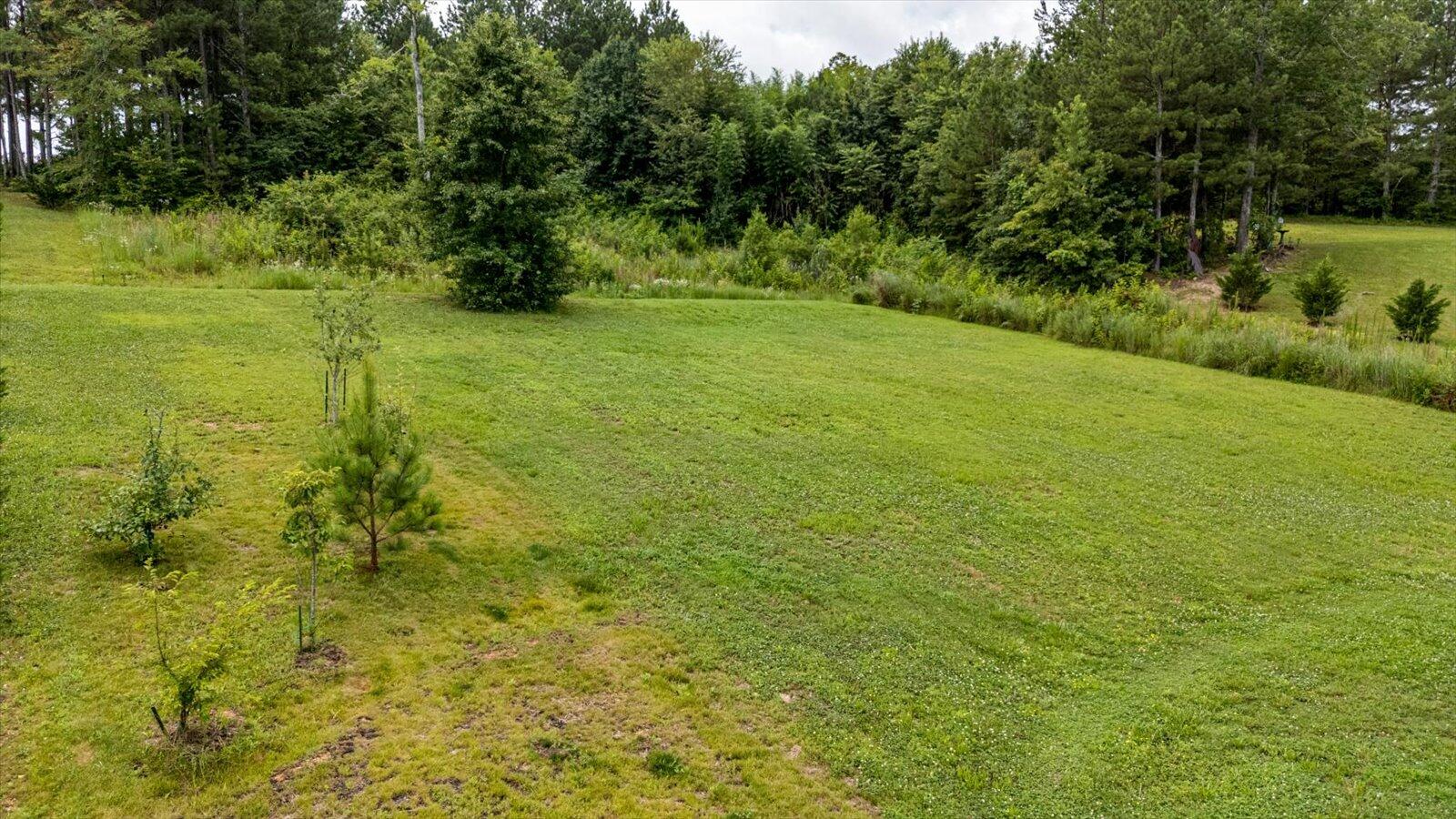 853 Dedmon Road Ringgold, GA 30736 - Photo 35 of 42 35-853 Dedmon Rd-34