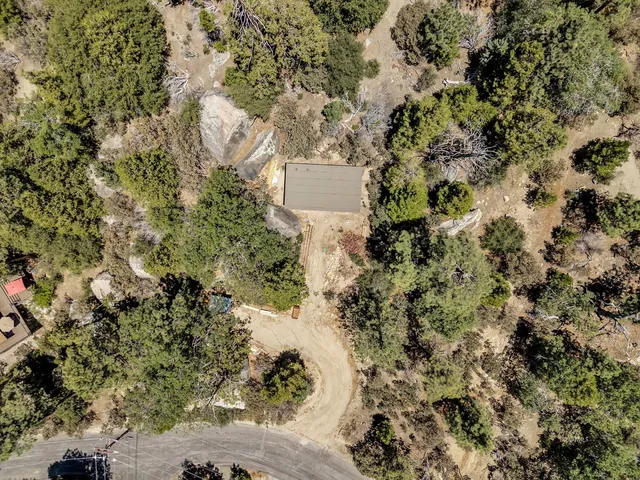 view of a yard with a tree