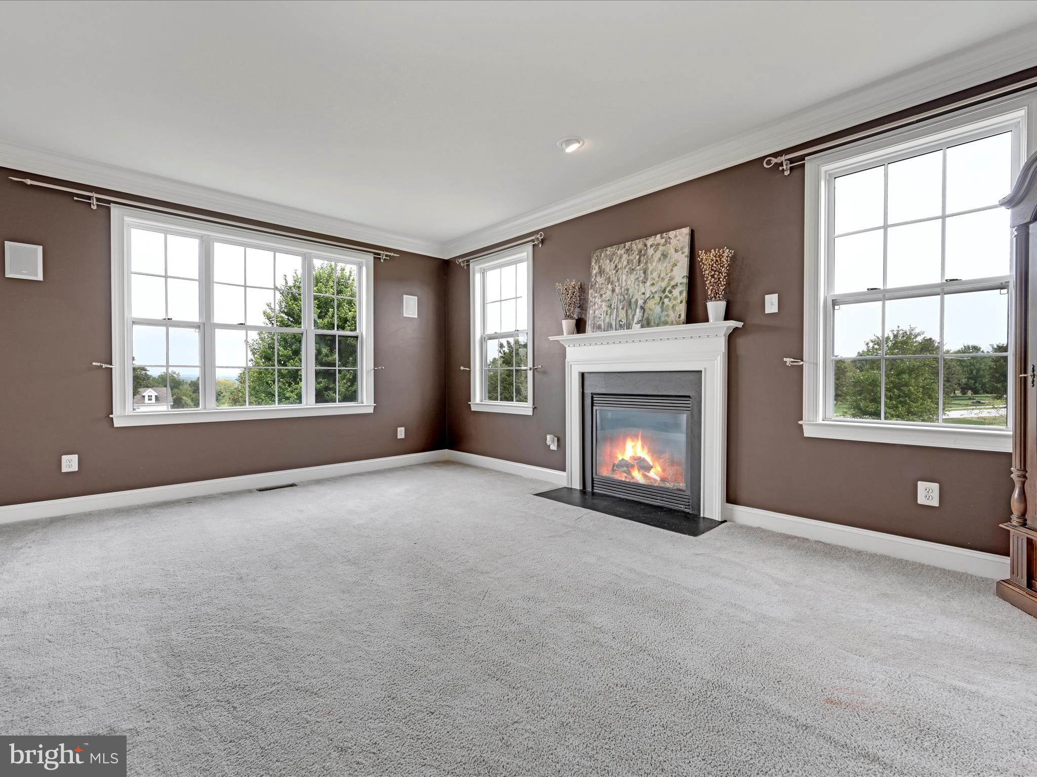 99 Wiand Lane Spring City, PA 19475 - Photo 5 of 48 Large Living Room with Fireplace