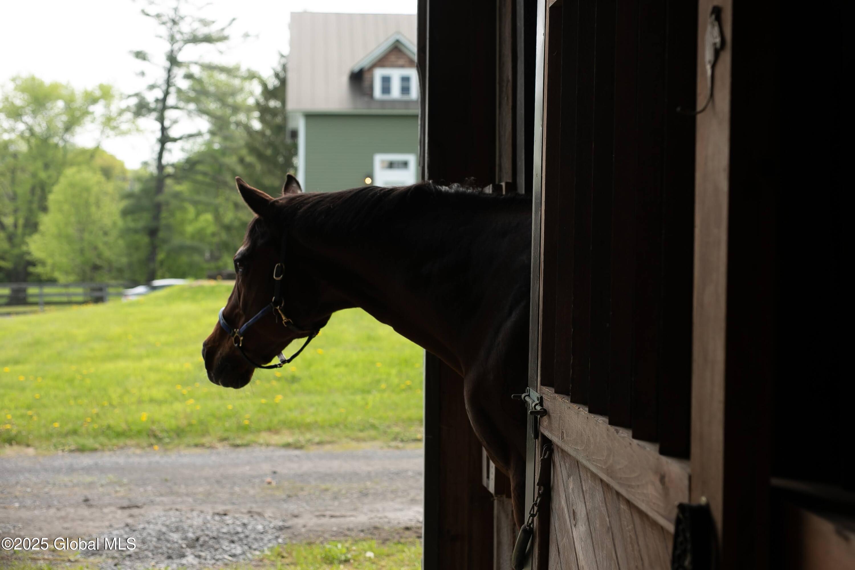 95 West Wind Road Knox, NY 12053 - Photo 26 of 45 West Wind-11