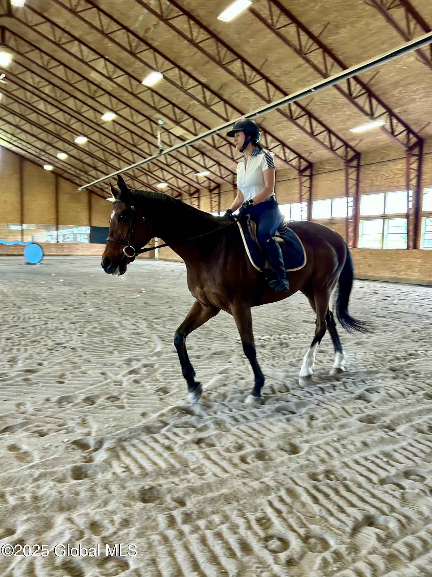 95 West Wind Road Knox, NY 12053 - Photo 29 of 45 Rider arena