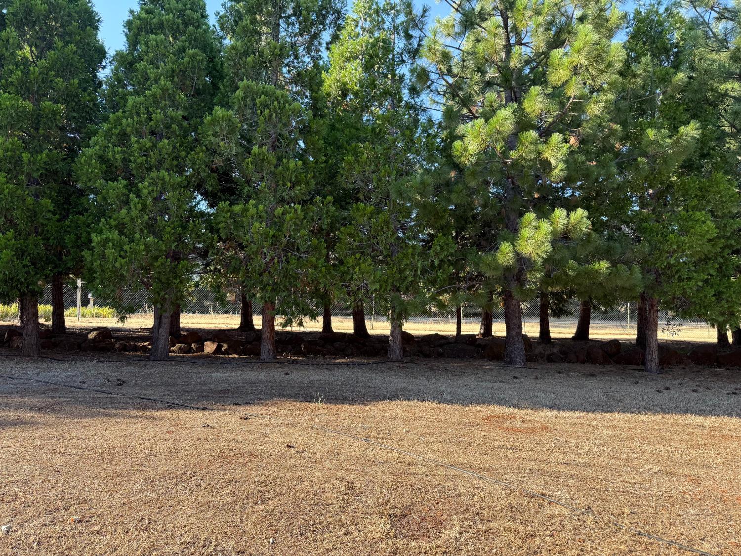 5000 Wilson Hill Road Manton, CA 96059 - Photo 56 of 63