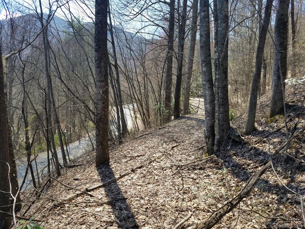 -off Hemphill Road Waynesville, NC 28785 - Photo 2 of 8 Gallery Image 2