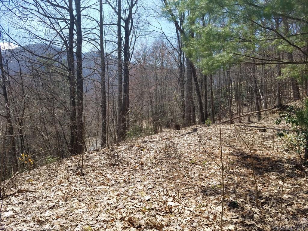 -off Hemphill Road Waynesville, NC 28785 - Photo 3 of 8 Gallery Image 3