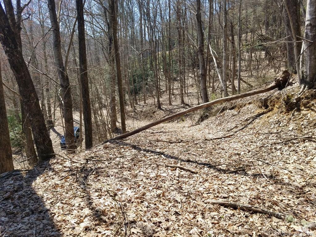 -off Hemphill Road Waynesville, NC 28785 - Photo 4 of 8 Gallery Image 4