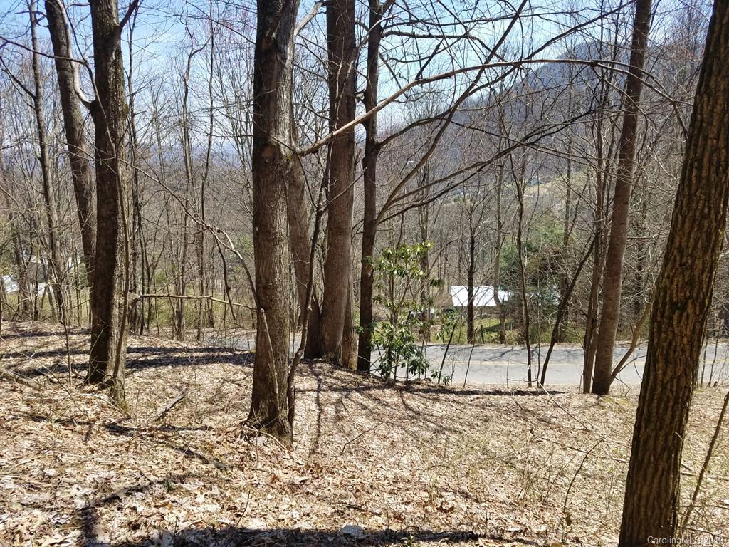 -off Hemphill Road Waynesville, NC 28785 - Photo 5 of 8 Gallery Image 5