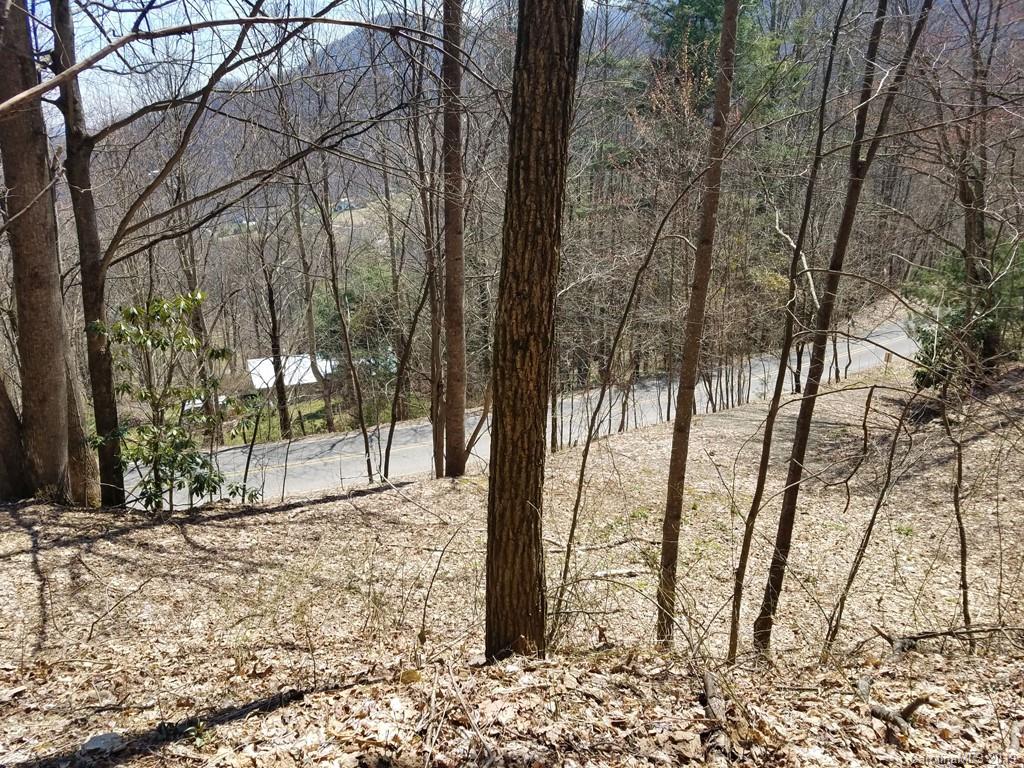 -off Hemphill Road Waynesville, NC 28785 - Photo 6 of 8 Gallery Image 6