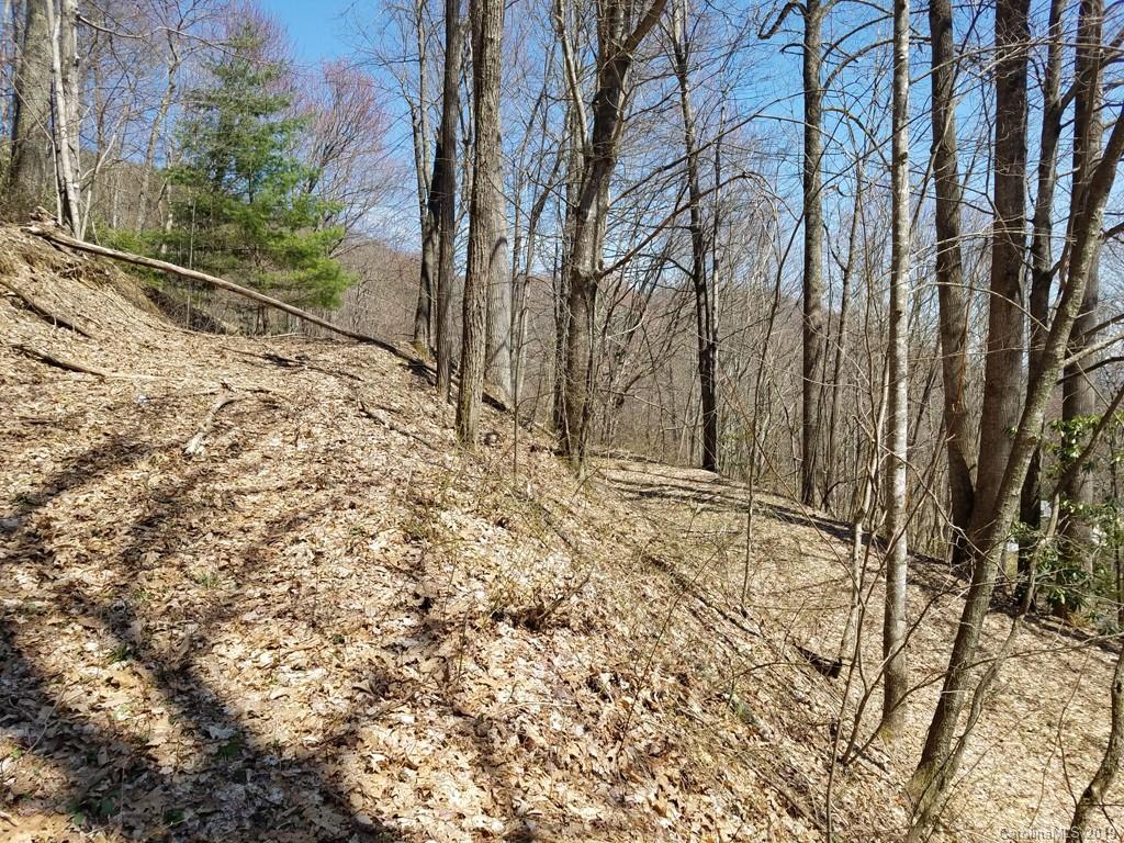 -off Hemphill Road Waynesville, NC 28785 - Photo 7 of 8 Gallery Image 7