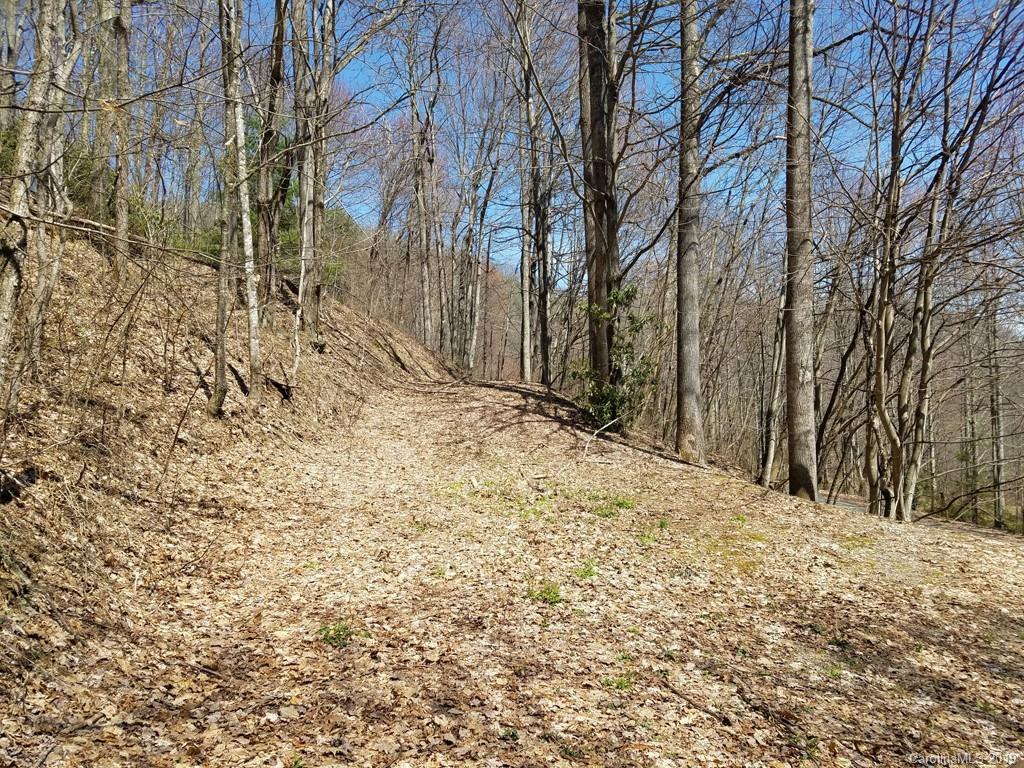 -off Hemphill Road Waynesville, NC 28785 - Photo 8 of 8 Gallery Image 8