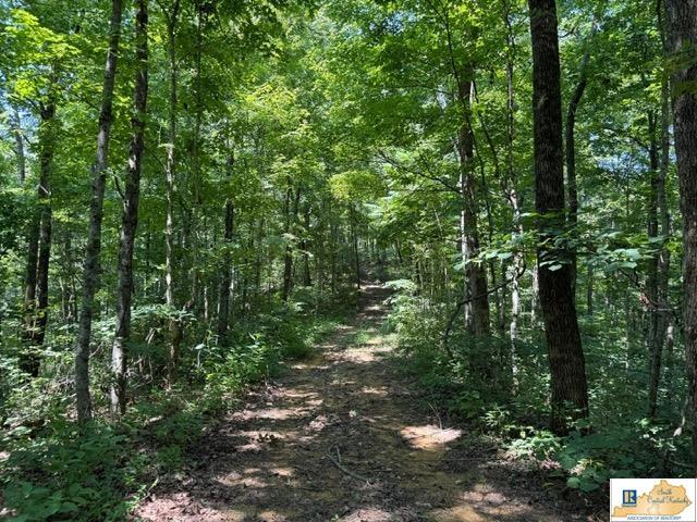 1755 Old 61 Loop Road Breeding, KY 42715 - Photo 15 of 21 Gallery Image 15