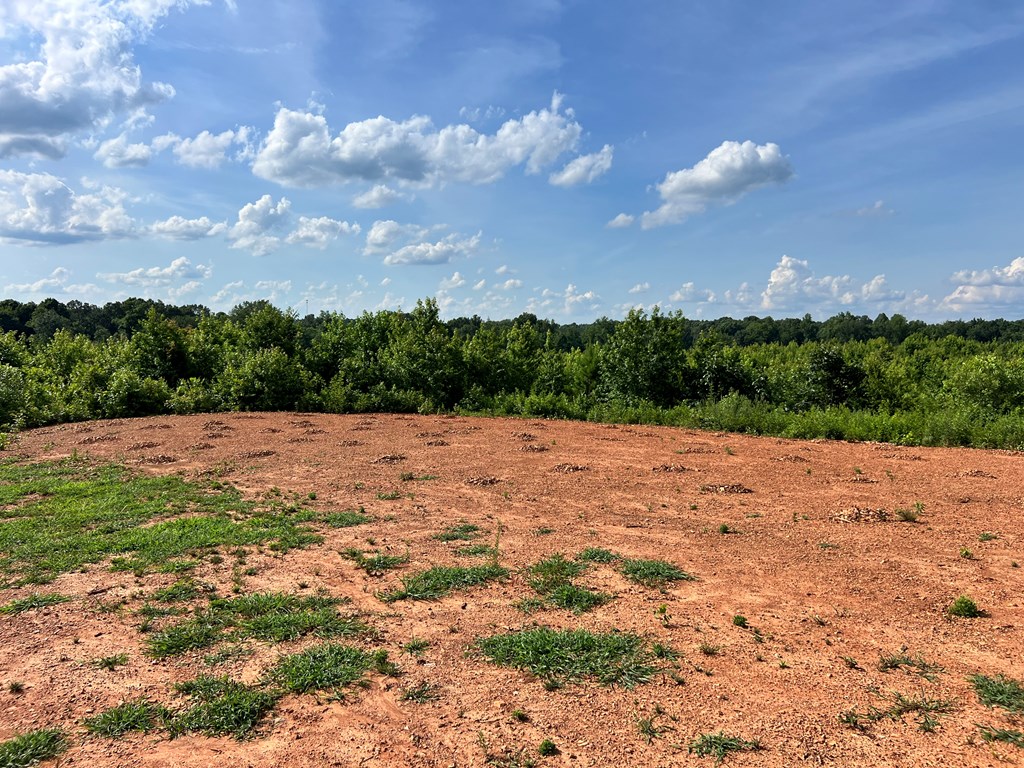 452 Bowie Road Troy, SC 29848 - Photo 8 of 15
