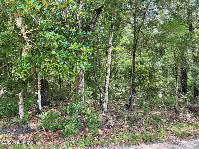 $120,000 | Tbd Northeast 140th Avenue, Gainesville, FL 32609