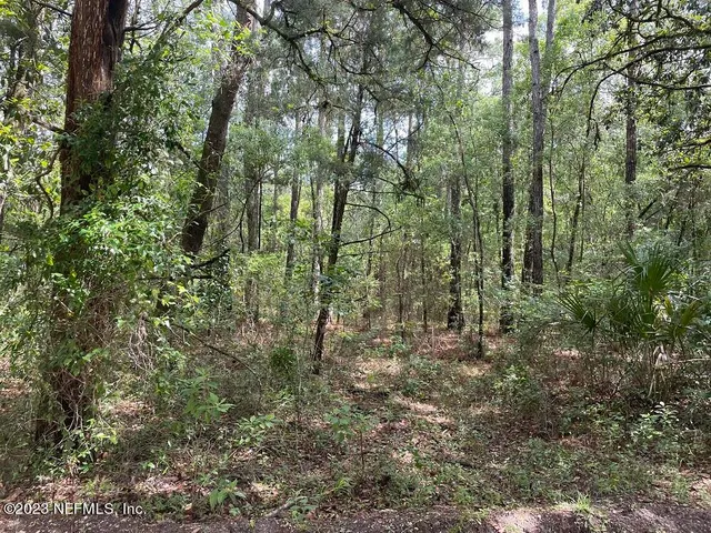 $120,000 | Tbd Northeast 140th Avenue, Gainesville, FL 32609