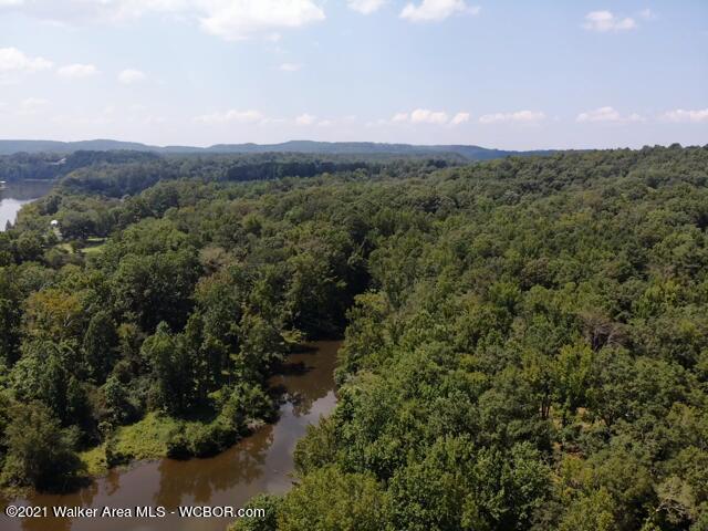 3444 Underwood Ferry Road Cordova, AL 35550 - Photo 6 of 6 Gallery Image 6