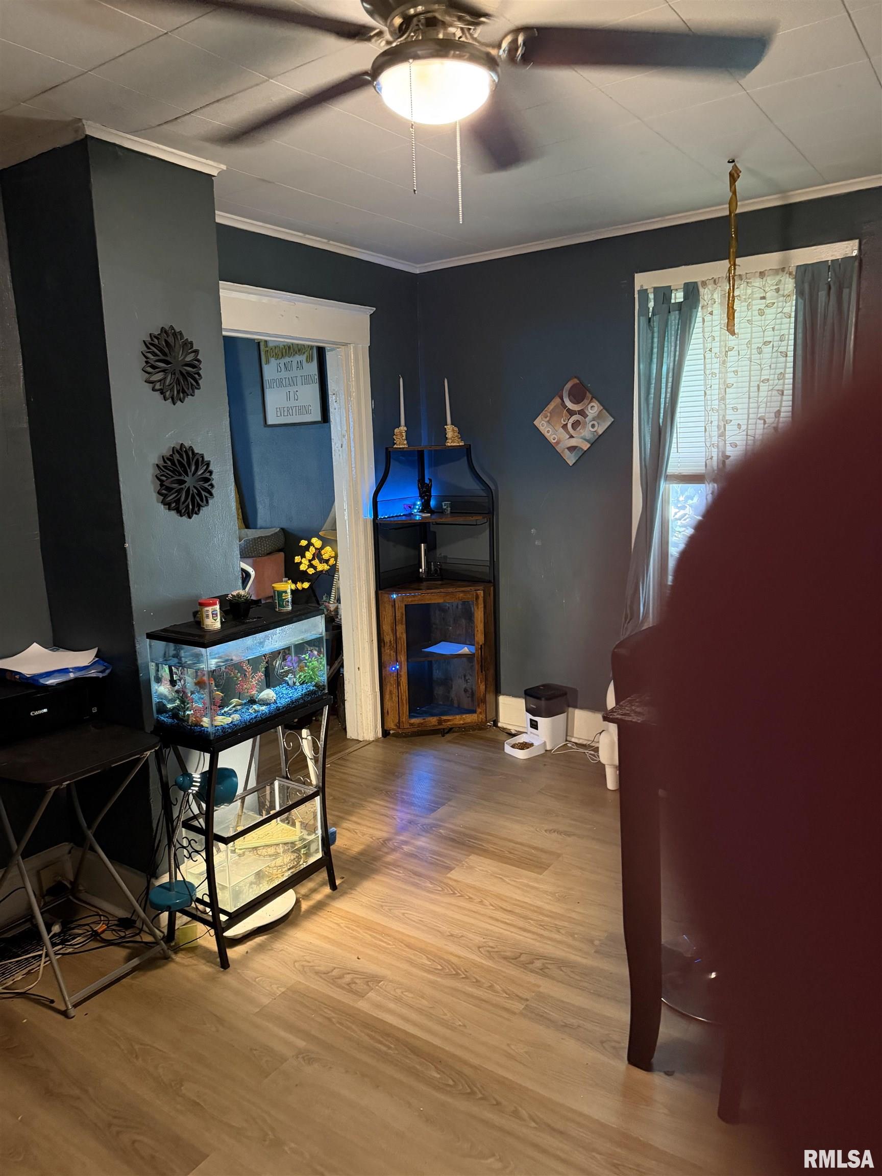 1707 East Moffat Avenue Springfield, IL 62702 - Photo 6 of 16