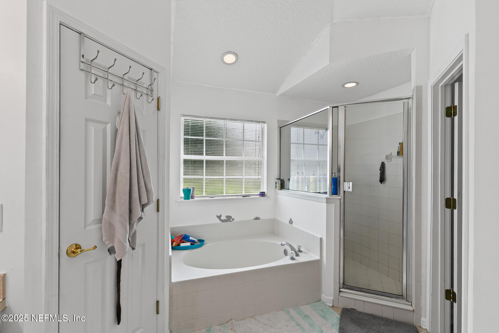 1725 South Summer Ridge Court St. Augustine, FL 32092 - Photo 32 of 46 a bathroom with a bathtub a shower a toilet and a sink