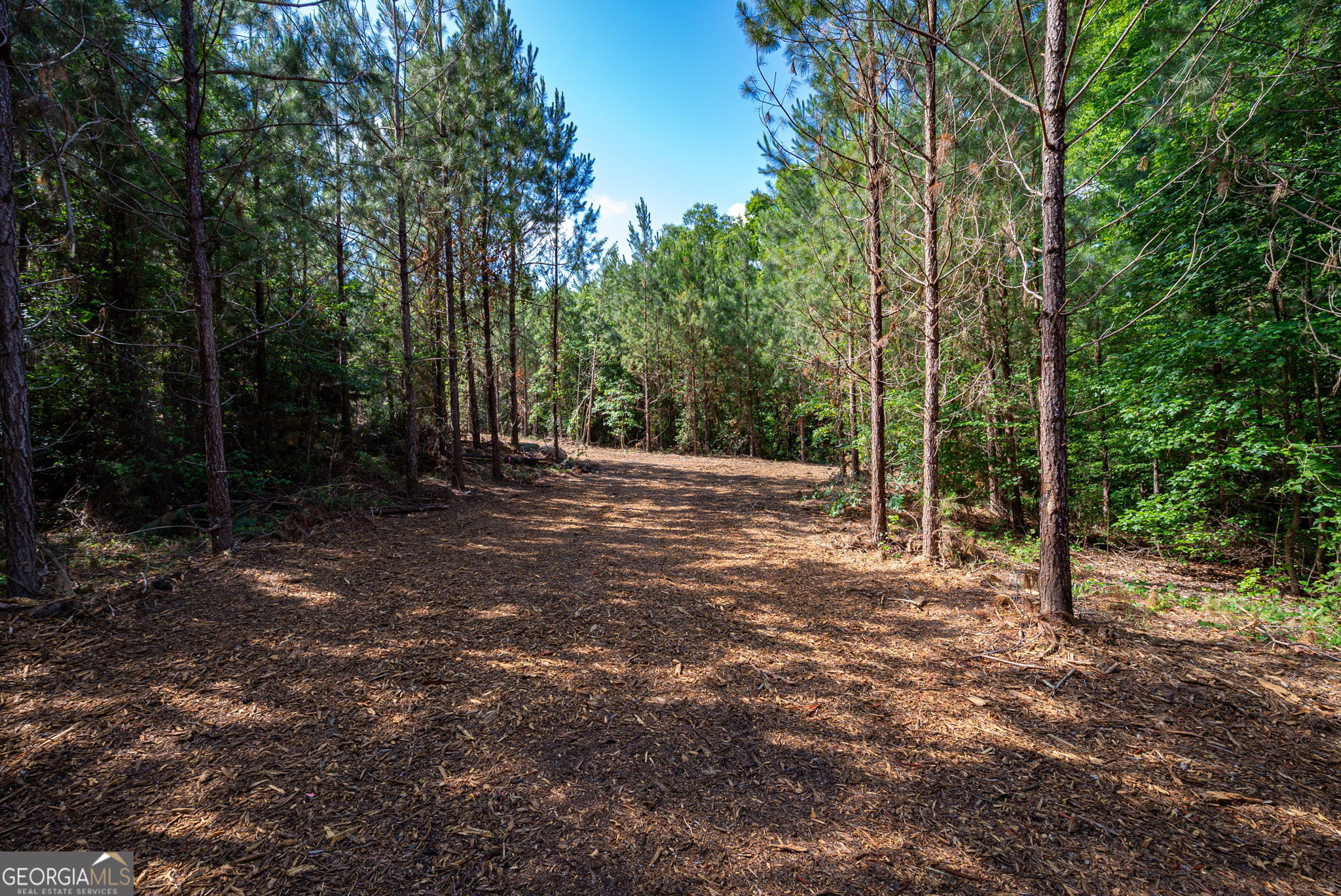 2 Brewer's Bridge Road Elberton, GA 30635 - Photo 14 of 24