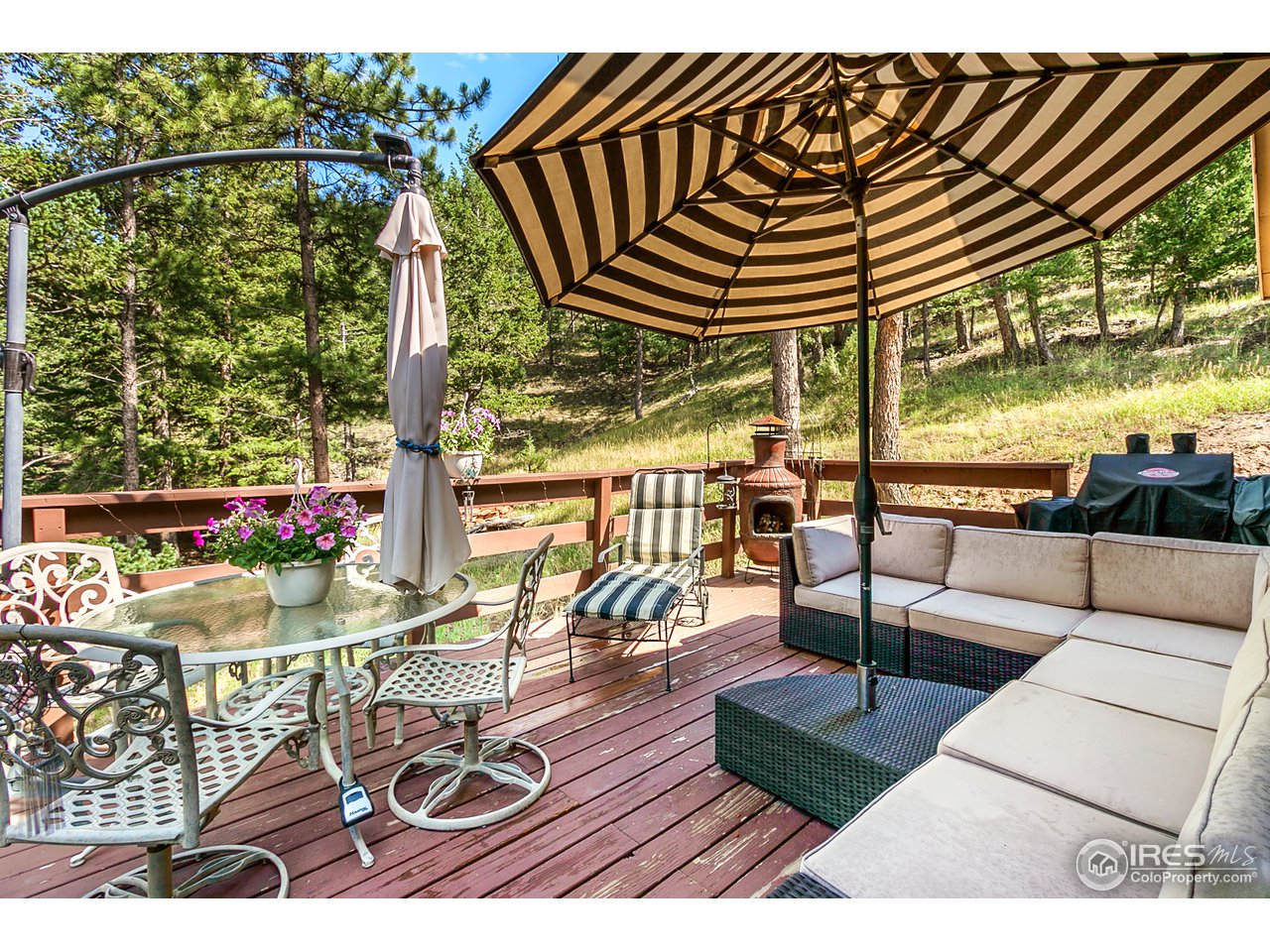 672 Mt Harvard Road Livermore, CO 80536 - Photo 23 of 28 Deck to Entertain