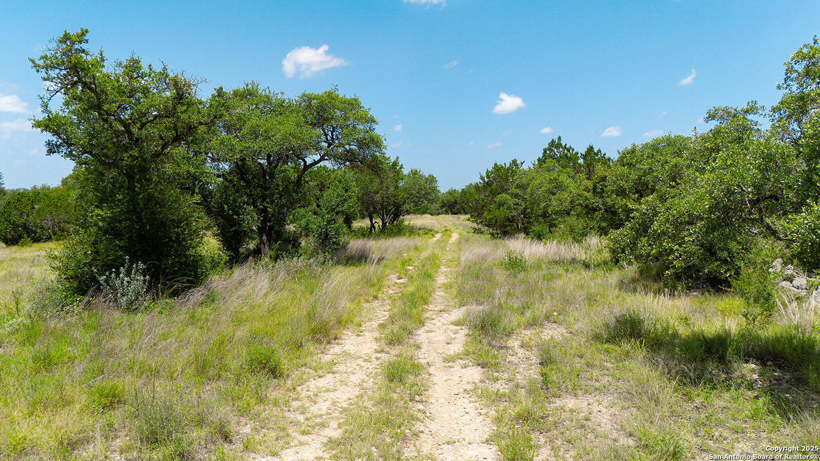 670 Windmill Ridge Drive Blanco, TX 78606 - Photo 11 of 11