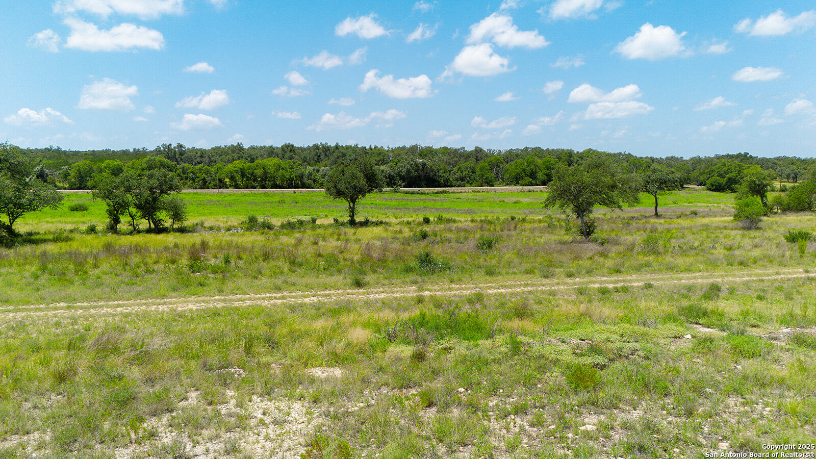 670 Windmill Ridge Drive Blanco, TX 78606 - Photo 10 of 11