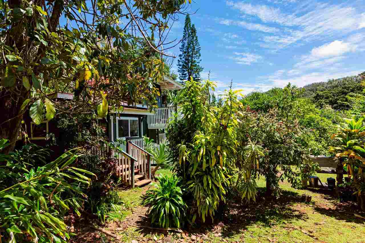 2665 Kaupakalua Road Haiku, HI 96708 - Photo 11 of 25 a view of a house with a tree