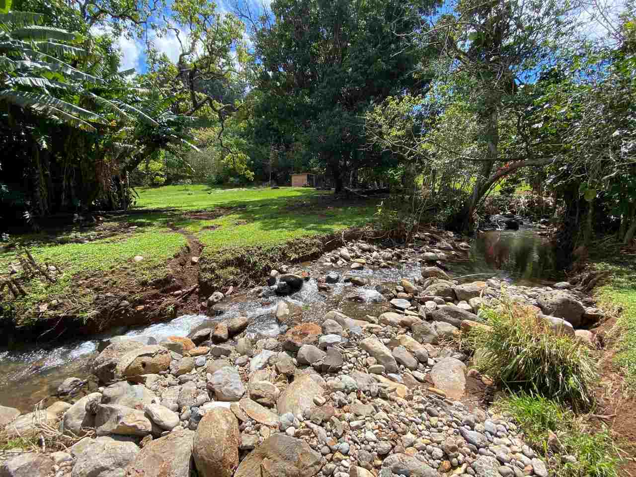 2665 Kaupakalua Road Haiku, HI 96708 - Photo 15 of 25 a view of a garden with a tree