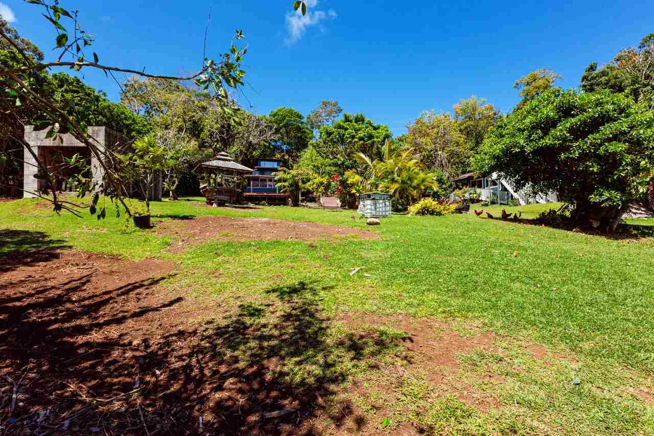 2665 Kaupakalua Road Haiku, HI 96708 - Photo 17 of 25 a view of a yard with a tree