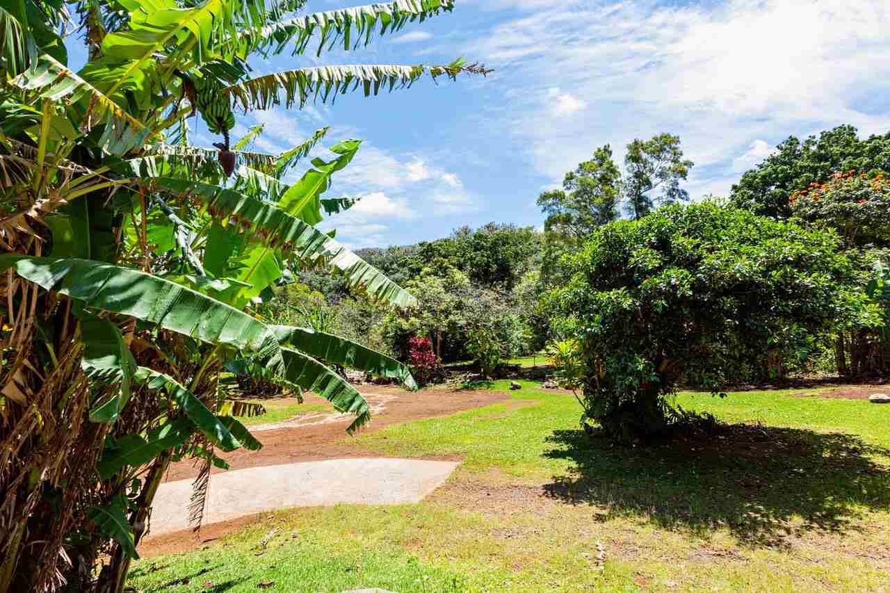 2665 Kaupakalua Road Haiku, HI 96708 - Photo 22 of 25 a view of a yard with plants
