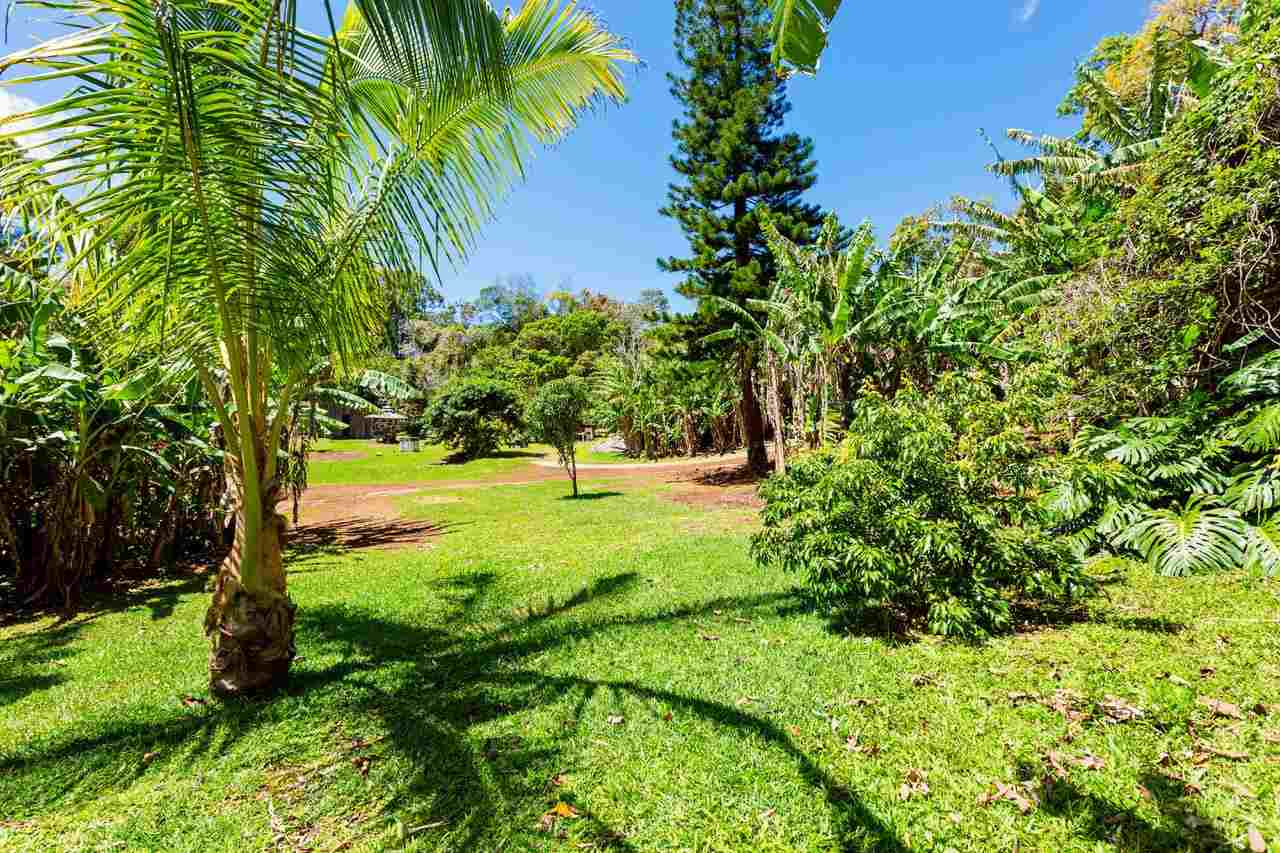 2665 Kaupakalua Road Haiku, HI 96708 - Photo 25 of 25 a view of yard with tree