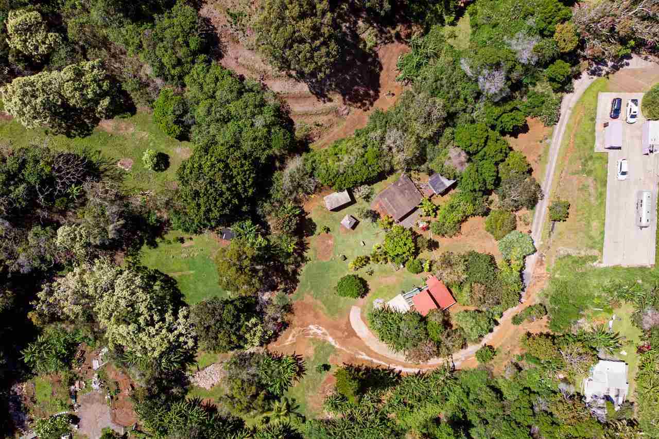 2665 Kaupakalua Road Haiku, HI 96708 - Photo 3 of 25 a bunch of flowers with lots of bushes