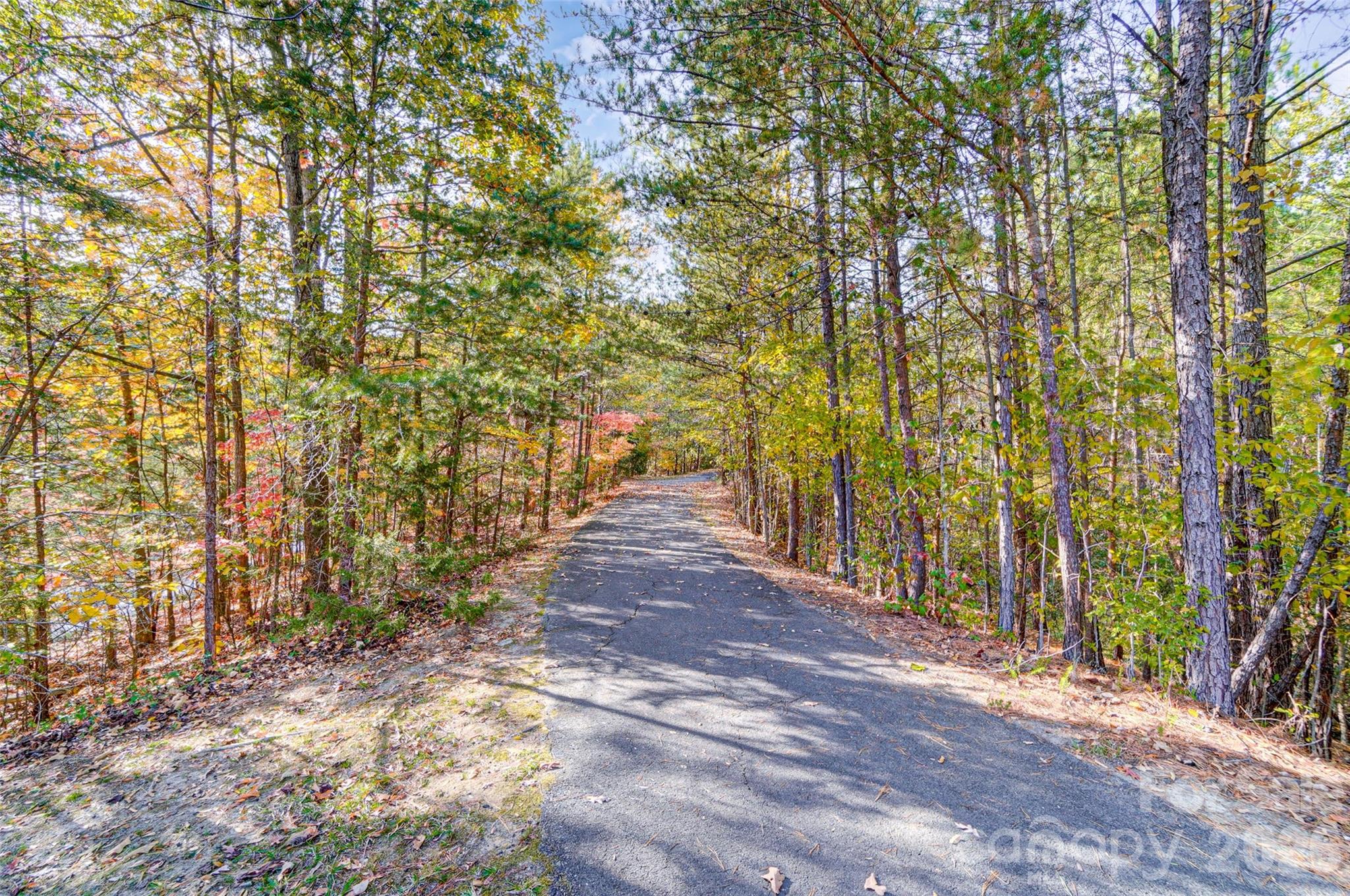 5060 Suwarrow Circle Tega Cay, SC 29708 - Photo 45 of 46