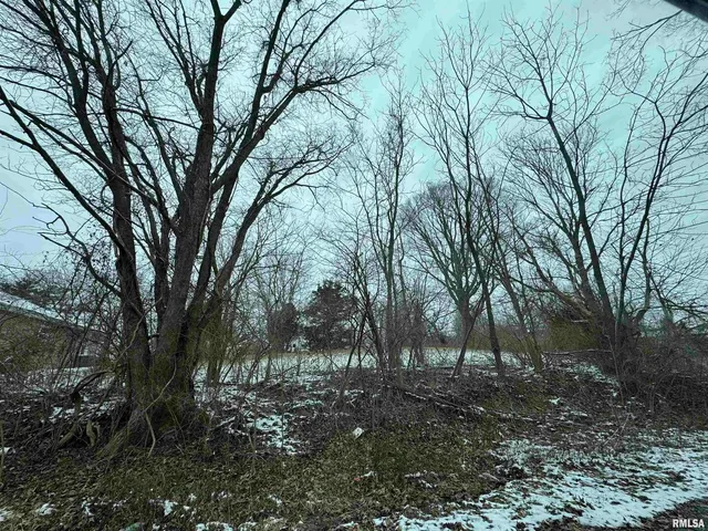 $6,000 | 603 Vaux Street, Zeigler, IL 62999