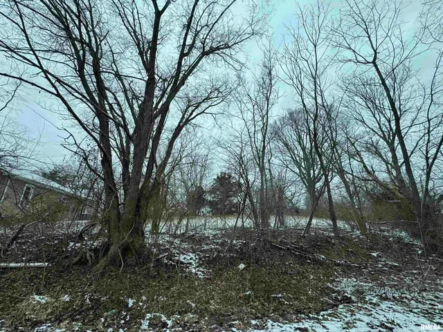 $6,000 | 603 Vaux Street, Zeigler, IL 62999