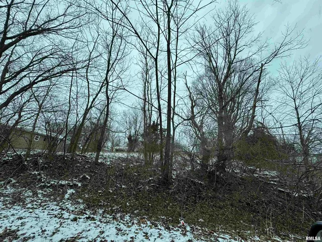 $6,000 | 603 Vaux Street, Zeigler, IL 62999