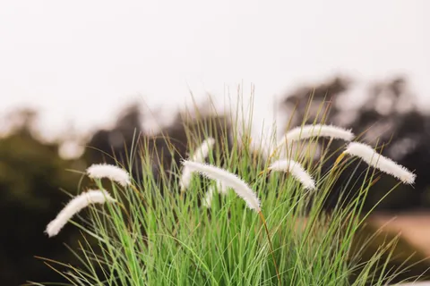 $959,000 | 1651 Taylor Lane, Santa Cruz, CA 95062