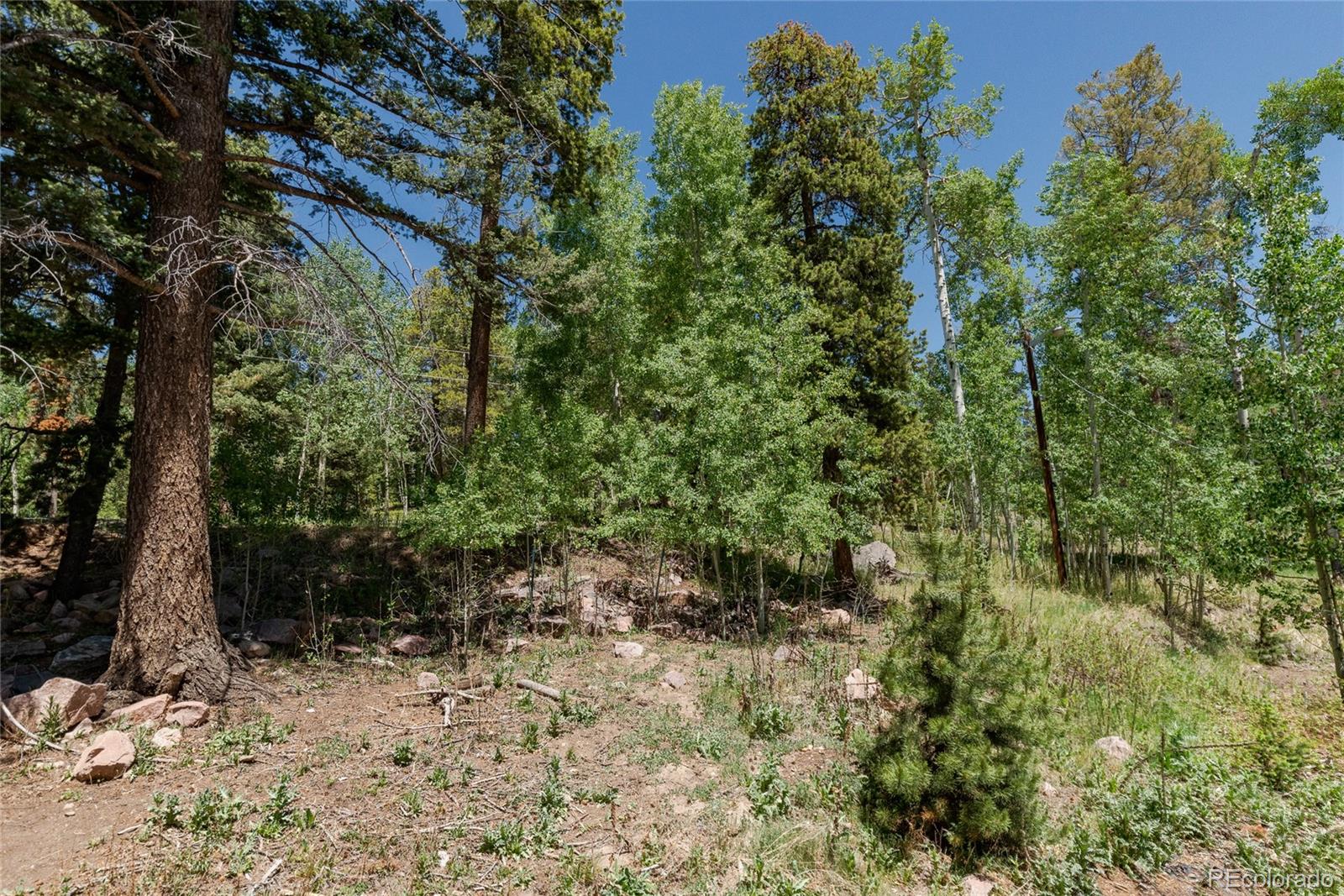 11682 Baca Road Conifer, CO 80433 - Photo 34 of 36