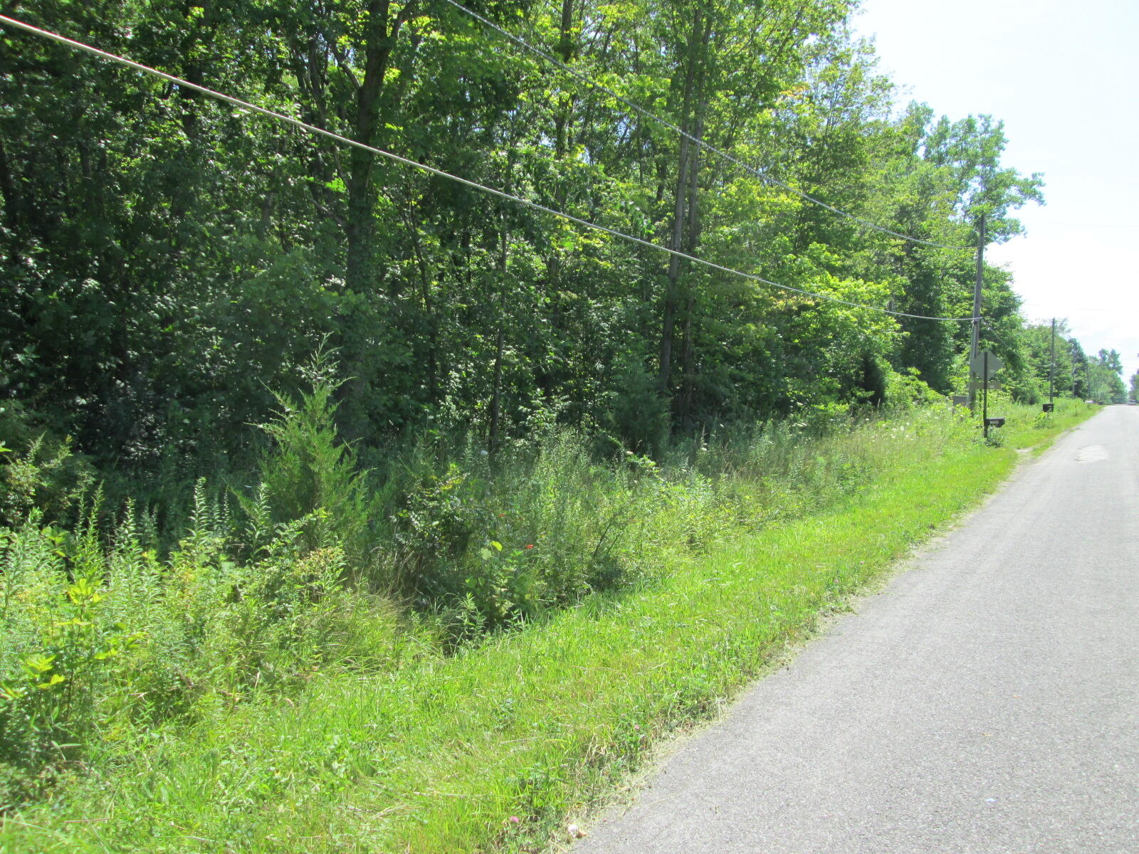 Flynn Road Sawyer, MI 49125 - Photo 1 of 8 IMG_6107