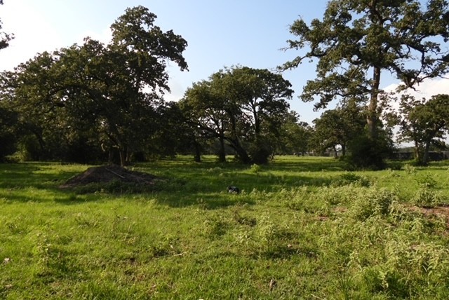 28322 Mellman Road Hempstead, TX 77445 - Photo 39 of 50