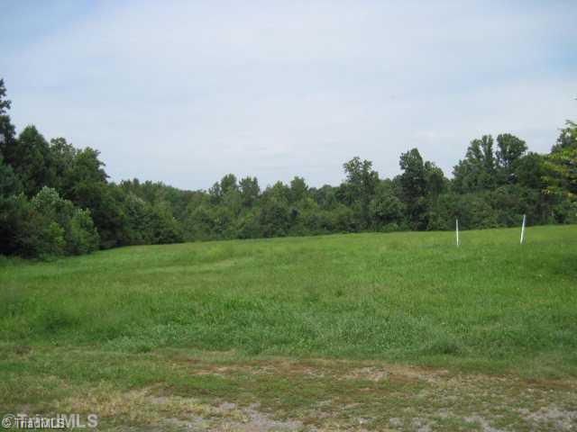 295 Dairy Road Reidsville, NC 27320 - Photo 10 of 10 Yard/Garden.