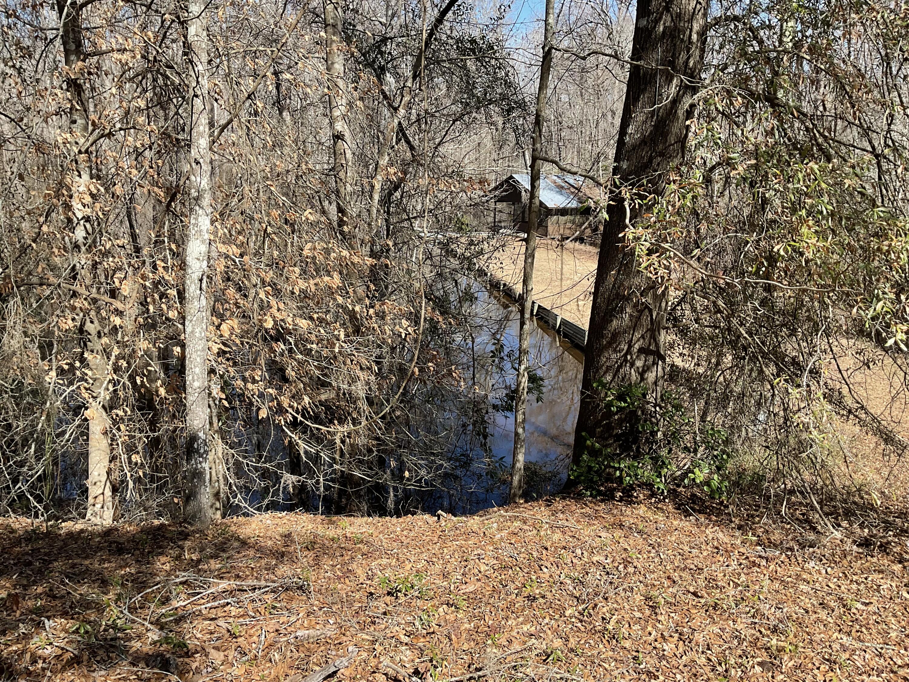 1114 Lott Bluff Road Blackville, SC 29817 - Photo 148 of 164