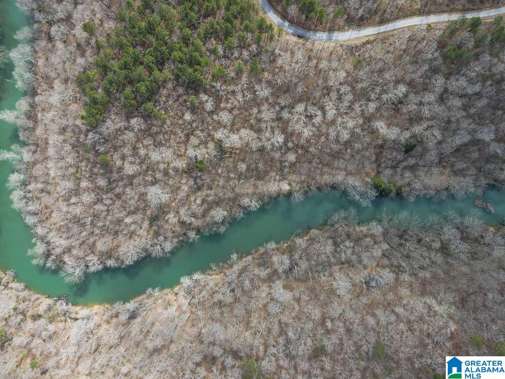 Lot #8 Turkey Bend Drive, Unit 8 Addison, AL 35540 - Photo 8 of 13