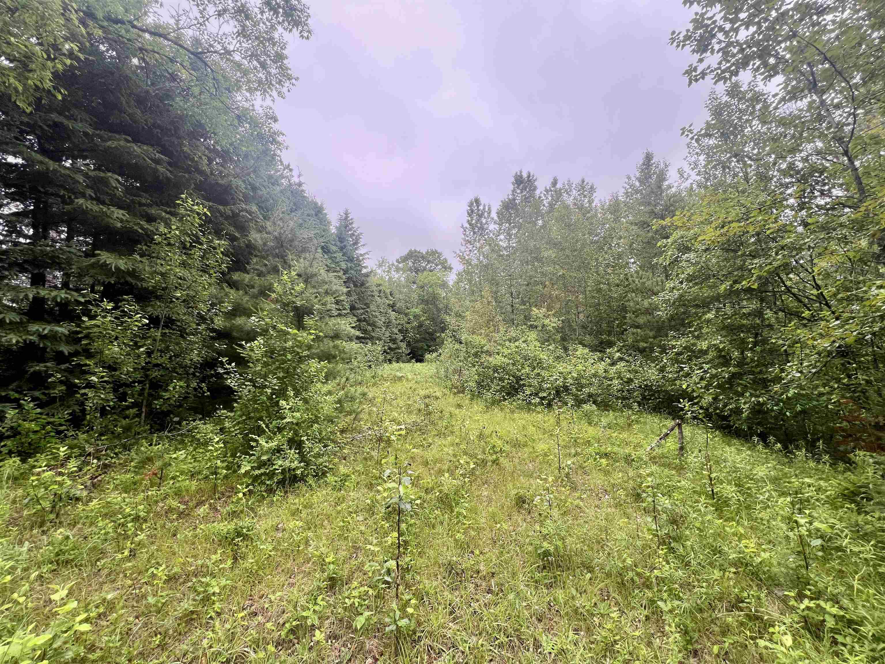 W8801 Moonshine Hill Road Crivitz, WI 54114 - Photo 11 of 39