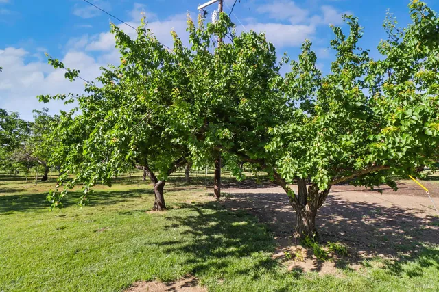 $2,999,999 | 9192 Boyce Road, Winters, CA 95694