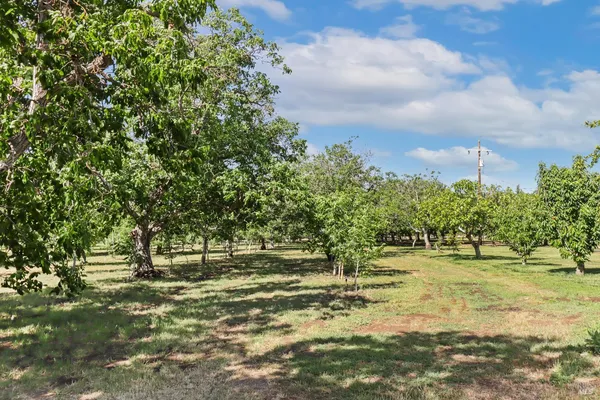 $2,999,999 | 9192 Boyce Road, Winters, CA 95694