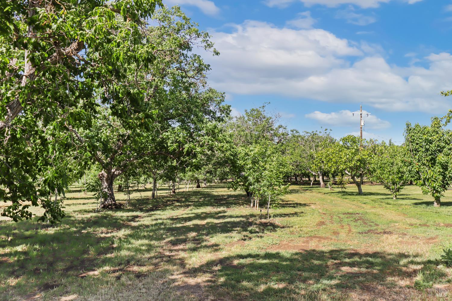 9192 Boyce Road Winters, CA 95694 - Photo 58 of 94